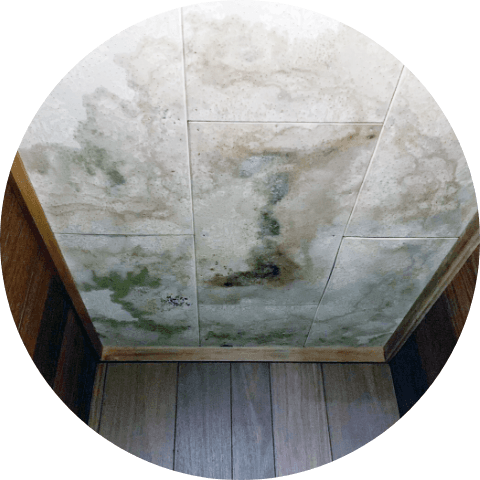 目視検査イメージ